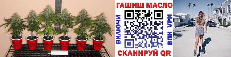 blacksprut как войти  Солигалич  Дистиллят ТГК Wax  наркошоп 